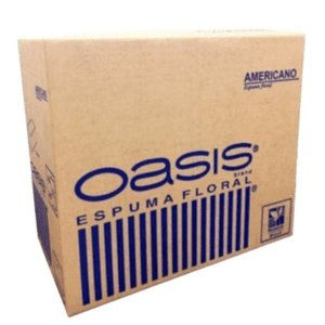 OASIS AMERICANO