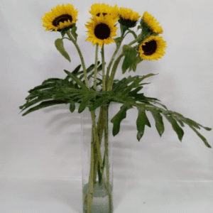 Girasol