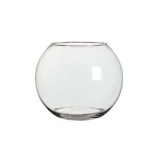 Pecera en Vidrio  10 × 6 cm